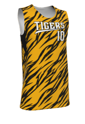 JBBJ6 - Champro Single-Ply Reversible Fitted Jersey