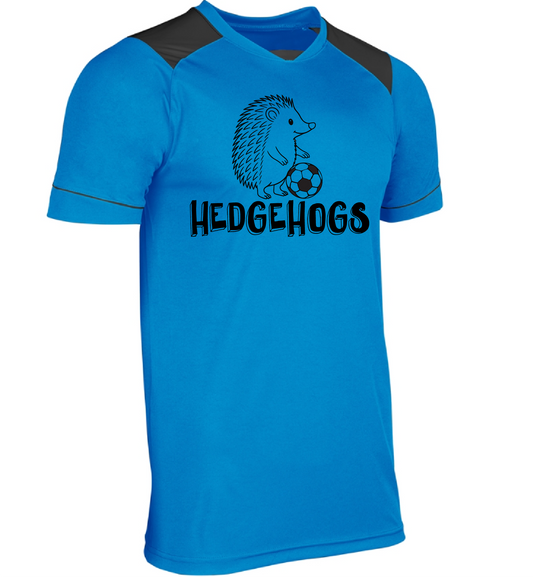 Hedgehogs Soccer